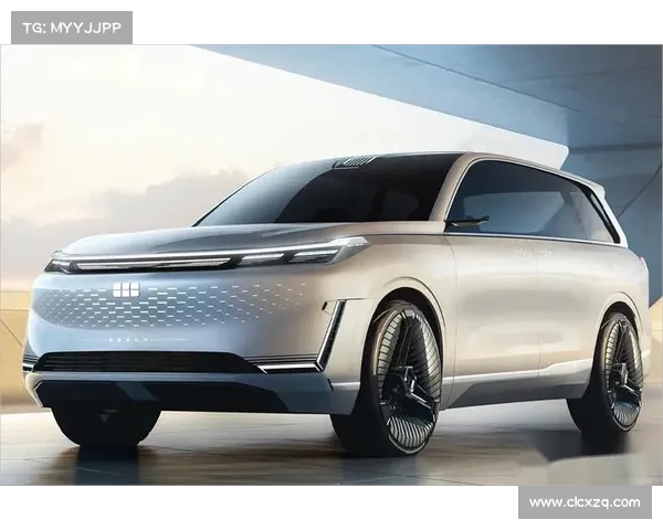 eπ008 不到20万,车长超5米大SUV,便宜又大碗!还有5_6座可选! eπ008 不到20万,车长超5米大SUV,便宜又大碗!还有5_6座可选!